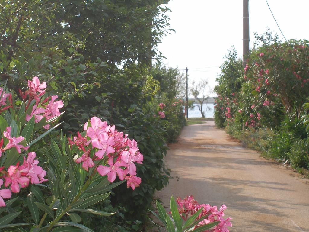 Holiday House Zaton Hoek van Holland Ngoại thất bức ảnh