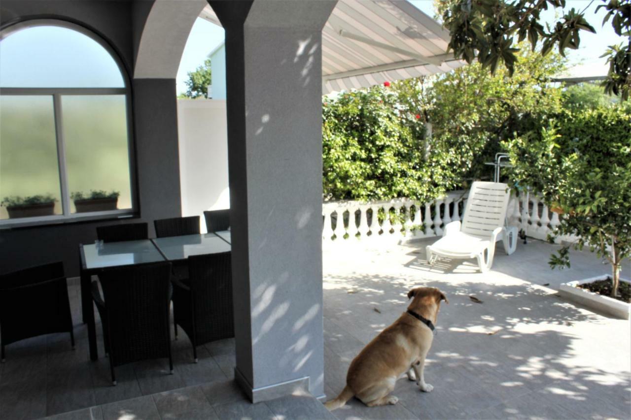 Holiday House Zaton Hoek van Holland Ngoại thất bức ảnh